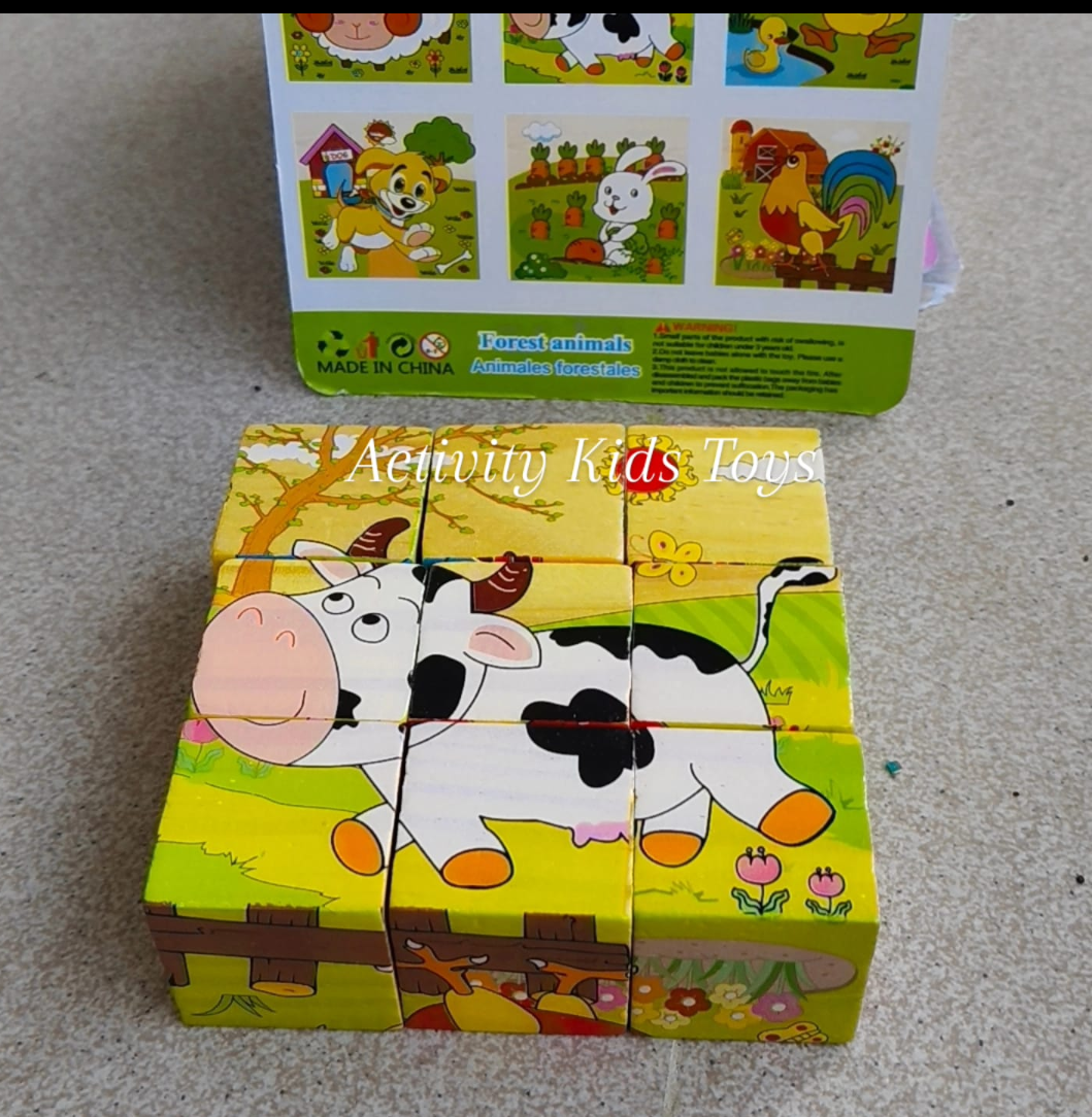 9 Cubes Puzzle